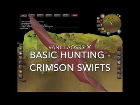 They are found alongside various other creatures on the beach south of Oo&39;glog. . Crimson swift osrs